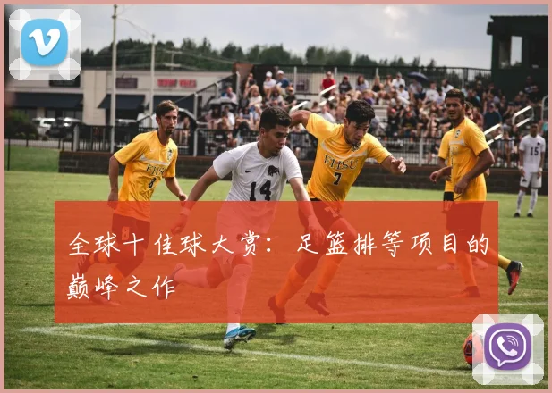 全球十佳球大赏：足篮排等项目的巅峰之作