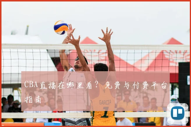 CBA直播在哪里看？免费与付费平台指南